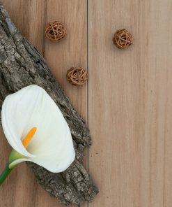 Alternative view of ILVA - WOOD HOME - PORCELANTO ALMOND 22.5X90 (1.22)