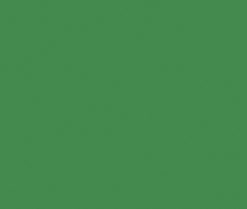 AYLLA - CERAMICO SWEET JUNGLE BRIL 10X40 (1.08)