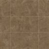 DELTA - ADVANCE - ALAMO AMBAR PULIDO 70X120 (2.52)
