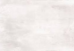 CORTINES - CERAM PAVIMENTI PALLADIO 1° 35X60 (1.47)