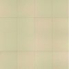 ILVA - NEW ECOLAND SNOW NATURAL 2° 30X60 (1.42)