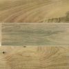 ILVA - LEGNI TROPICAL 1° 22.5X90 (1.22)