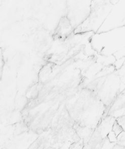 PAMESA - PORC. ZAGREB WHITE PUL. 60X120 (1.44)